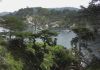 Point Lobos State Park