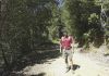 Vlet do Big Basin
