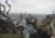 Point Lobos State Park