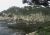 Point Lobos State Park
