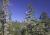 Big Basin