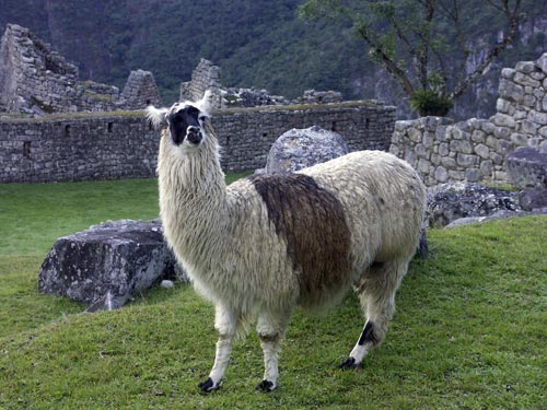 1179