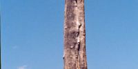 Sample image from gallery