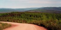 Sample image from gallery