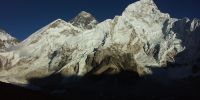 Sample image from gallery