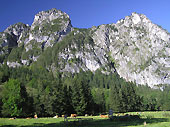 Zuckerhütl