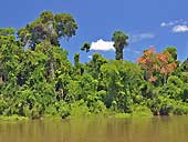 Surinam 2010